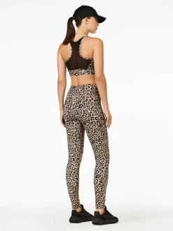 Goldbergh STRENGTH Bra jaguar Online